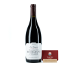 Bourgogne Côtes d'Or, Domaine Méo-Camuzet  2019