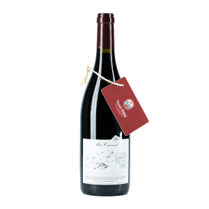 Nuits-Saint-Georges, Domaine Méo Camuzet "Aux Boudots" 2019 Verso