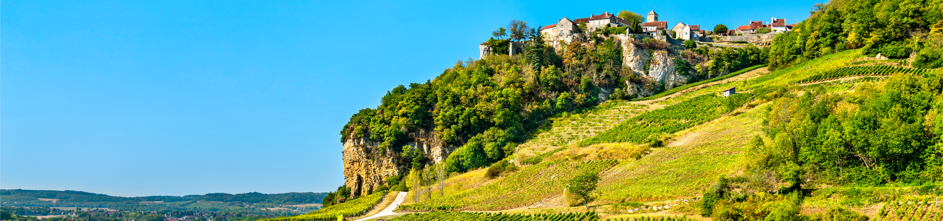 Acheter Jura Blanc | VeniBibi | La richesse du Chardonnay et Savagnin