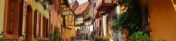 Alsace Blanc