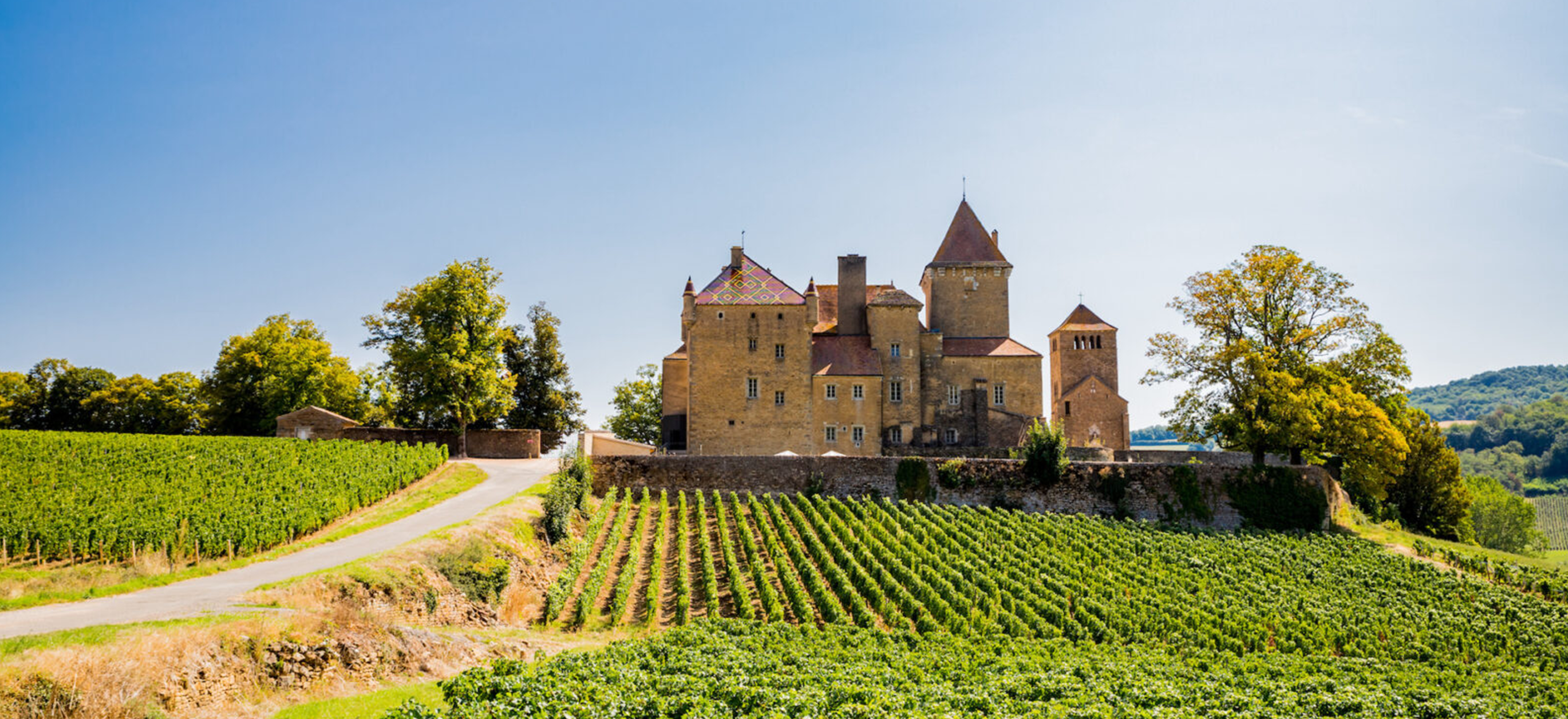 Bourgognes blancs